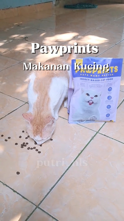 Rumah bebas tikus semenjak ada kucing