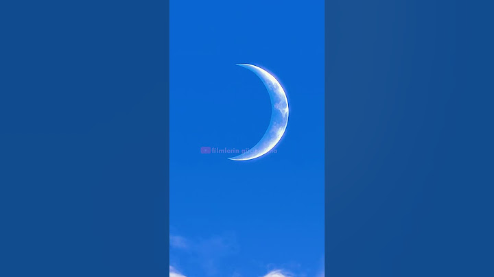 Dreamworks Çocuğuna Zorbalık Yapılması