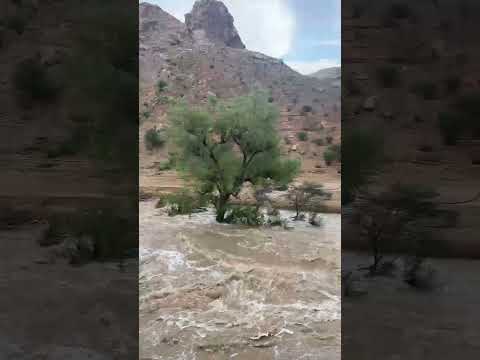 سيل غر وادي عمقين اليوم الجمعه