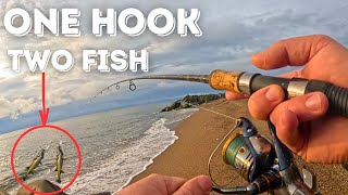 One Hook Two Fish! Pro Angler's Guide to Scandinavian Fishing!