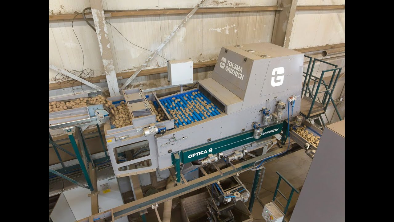 Tolsma-Grisnich optical quality sorter Optica Q 2025