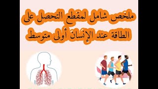 ملخص شامل لمقطع التحصل على الطاقة عند الإنسان الاولى متوسط