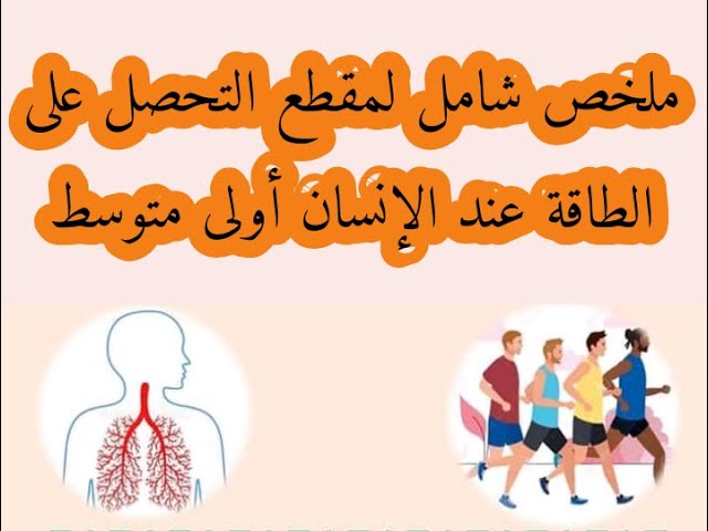 ملخص شامل لمقطع التحصل على الطاقة عند الإنسان الاولى متوسط