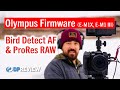Olympus Firmware Updates: Bird Tracking and ProRes Raw