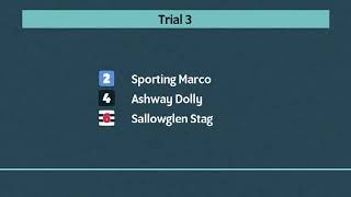 Swindon Greyhounds Trials on 30th May 2024