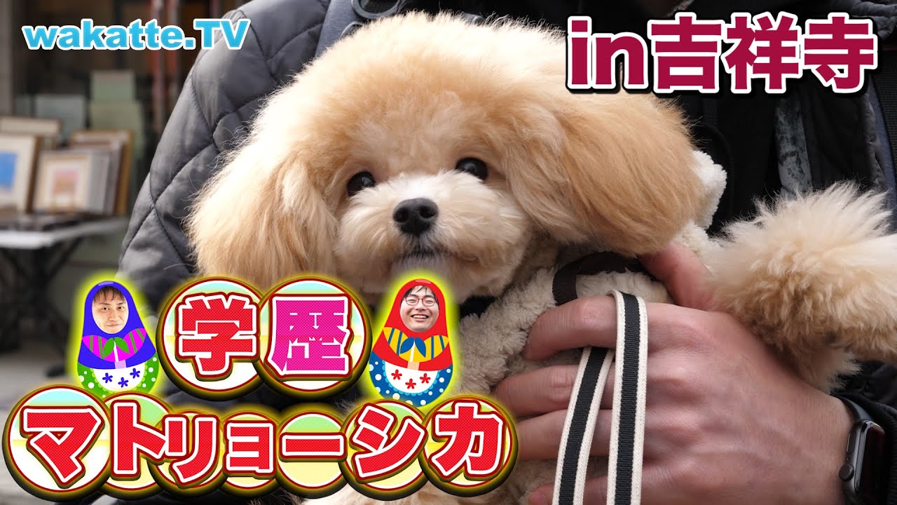 ふーみん大失態回】住みたい街No.1の吉祥寺で学歴マトリョーシカ