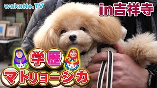 【ふーみん大失態回】住みたい街No.1の吉祥寺で学歴マトリョーシカ！！【wakatte.TV】#502