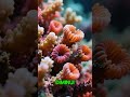 Fisiologia, Estresse e Saúde dos Corais #reefmarinho