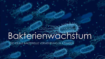 Welche Methode misst das Wachstum von Bakterien direkt?