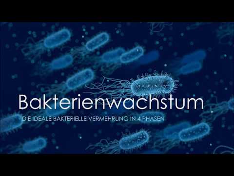 Video: Was sind die Phasen von Bakterien?