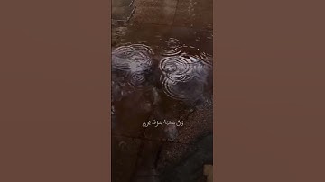 {وان ليس الإنسان اله ماسعي} #القرآن_الكريم #المصحف #تلاوة_هادئة #اكسبلور #لايك