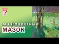 269 Многоцветный мазок