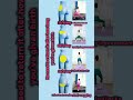 best exercise and workout 💪 for lower back and body 👅