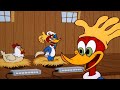 Woody Pretends to be a Chicken! | Woody Woodpecker | 1 Hour Compilation