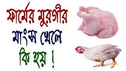 ফার্মের মুরগির মাংস খেলে কি হয়