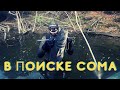 В поиске сома. Подводная охота 2020.