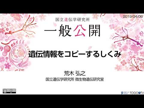 遺伝情報をコピーするしくみ @ 遺伝研一般公開講演会2019