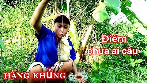 Câu Cá Rô / Cá Tra / Cá Thác Lác / Điểm Ít Người Câu  / Xì long Fishing