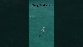Shiny Hawlucha!