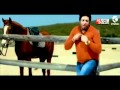 علاء البغدادي 