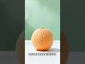 Melon Termasuk Keluarga Mentimun #fakta #buah #melon