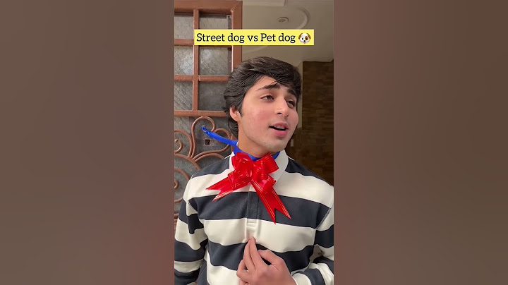 street dog vs Pet dogs 🐶#comedy #shorts