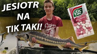 JESIOTR NA TIKTAKI! OLEŚNIKOWA DOLINA! GOŚCINNIE: BER GAR! screenshot 5