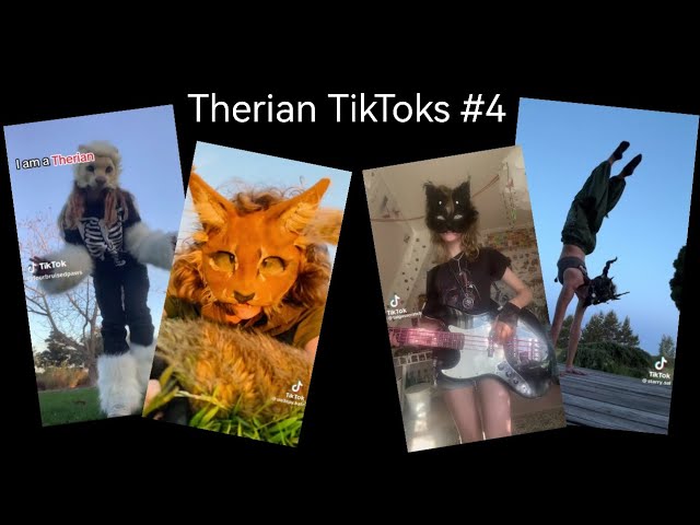 Therian TikTok Compilation #5 
