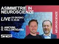 Asimmetrie in neuroscienze  con giorgio vallortigara