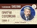 Притчи Соломона. Глава 5. Андрей Солодков. Библия