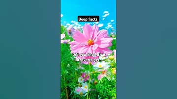Did you know that introverts get...🥺🥺 #shorts #youtubesearch #shortsfeed #introvert