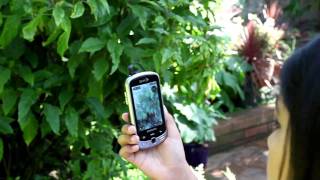 Students use augmented reality devices on educational tours