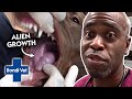 What's this ALIEN GROWTH inside dog's mouth??!! 😱 | Full Episode | Bondi Vet