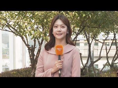 [날씨] 전국 한낮 온화…낮까지 동해안 '비' / 연합뉴스TV (YonhapnewsTV)