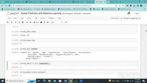 day 5 | Stroke disease prediction using machine learning | Stroke prediction using python |icodeguru