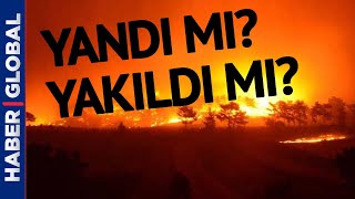 Yandı mı? Yakıldı mı? Marmaris, Manavgat Orman Yangınları Nasıl Çıktı?