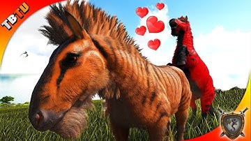 ⭐ PIMPING OUT OUR MUTATED EQUUS! Ark: Ragnarok Survival Plus E5  [Live Stream]