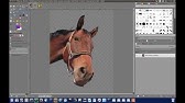 Tutorial Person Ausschneiden Und Einfugen In Gimp Youtube