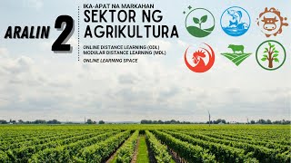 Grade 9 Ekonomiks Sektor ng Agrikultura (COT2)