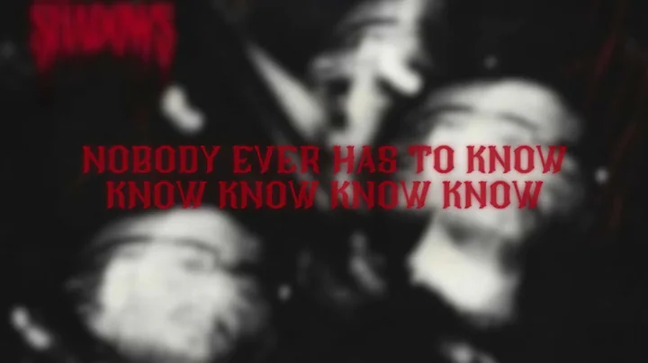 THE SHADOWS (Cover+ Lyrics)