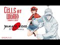 CELLS AT WORK  | Yamato Video 30th Anniversary