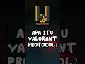 APA ITU VALORANT PROTOCOL? #shorts #gaming #valorant