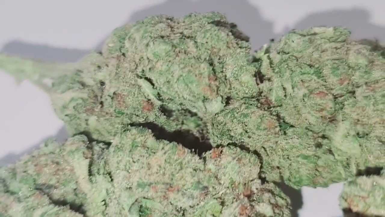 Northern Lights Haze Bio Indoor - vaporspirit.ch