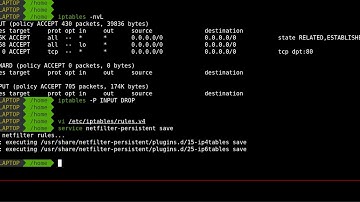 How to manage iptables with netfilter persistent