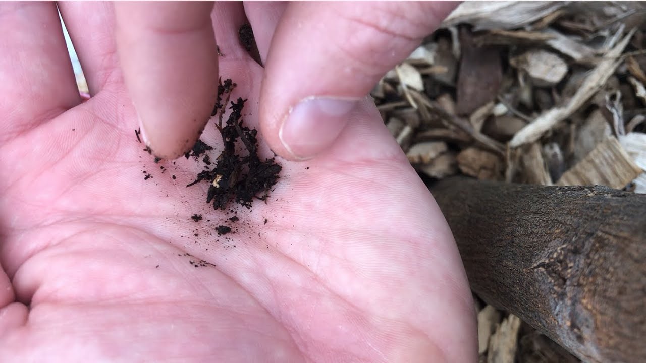 Seed Inoculation Experiment