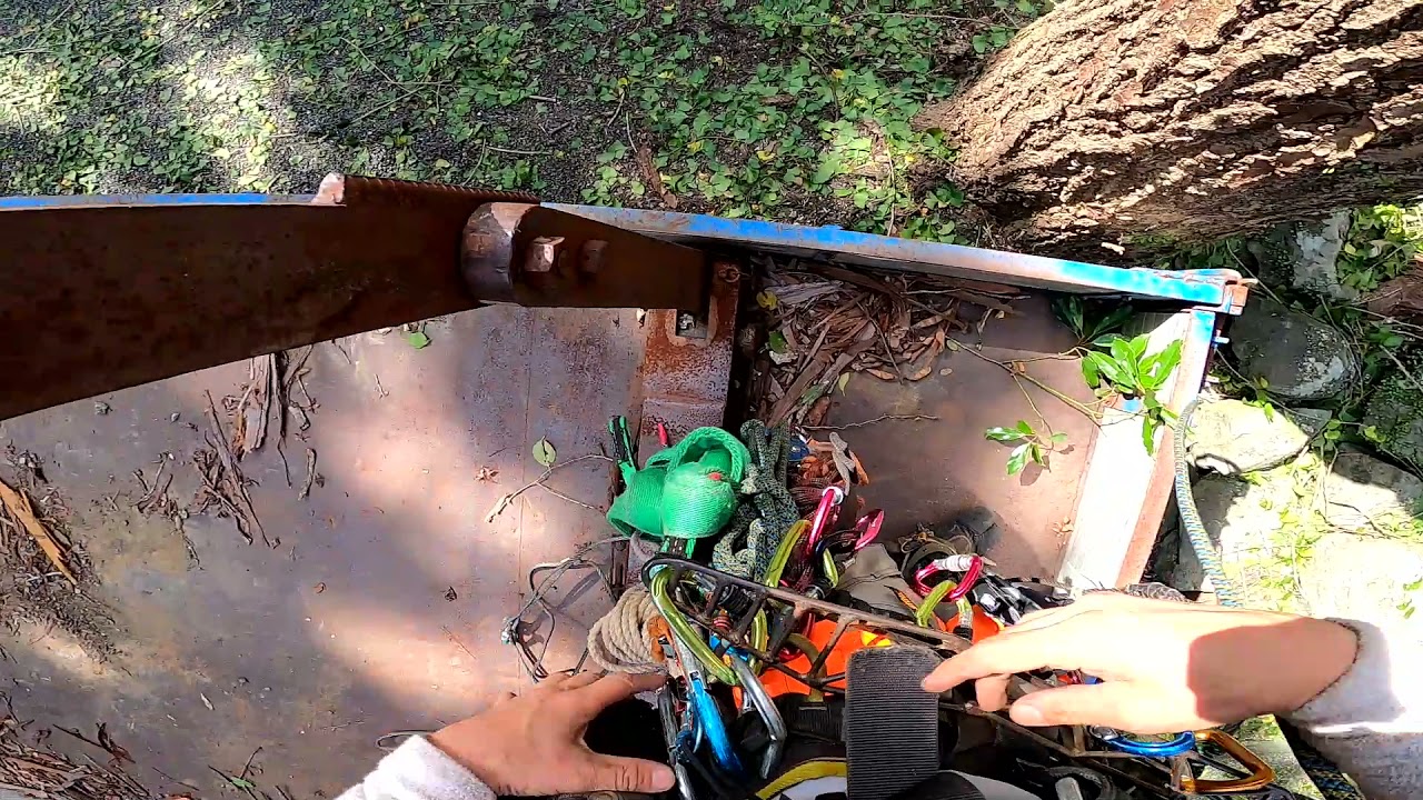 vol.4 TREE CLIMBING SRT シングルロープテクニックでの木登り