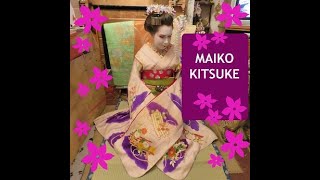 Maiko Kitsuke #jtalent