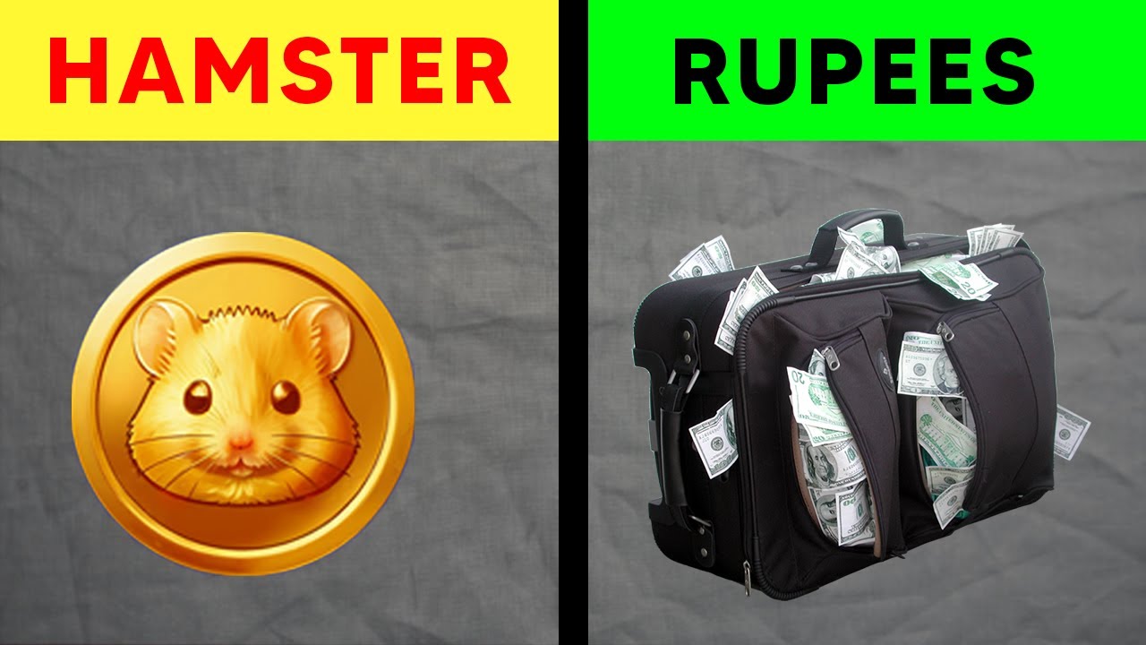 Hamster Kombat Price In Pakistan & India Exchange To PKR Hamster