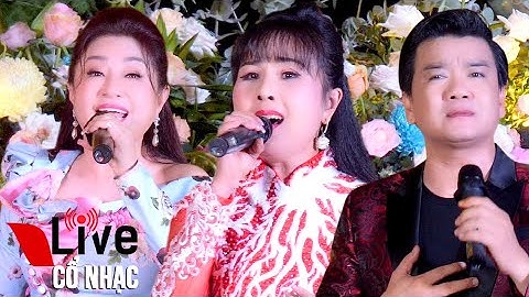 NSUT Thoại Mỹ NSUT Lê Tứ Hà Như Hát Cúng Dường Tịnh Xá Lộc Uyển | Live Cổ Nhạc