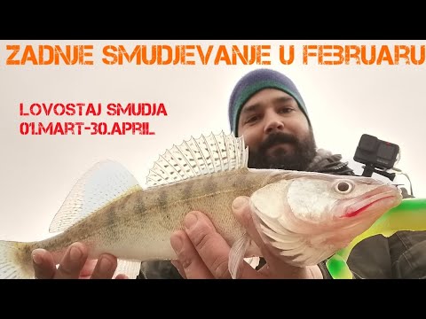 Pecanje Smudja.Ribolov.Zadnje Smudjerisanje